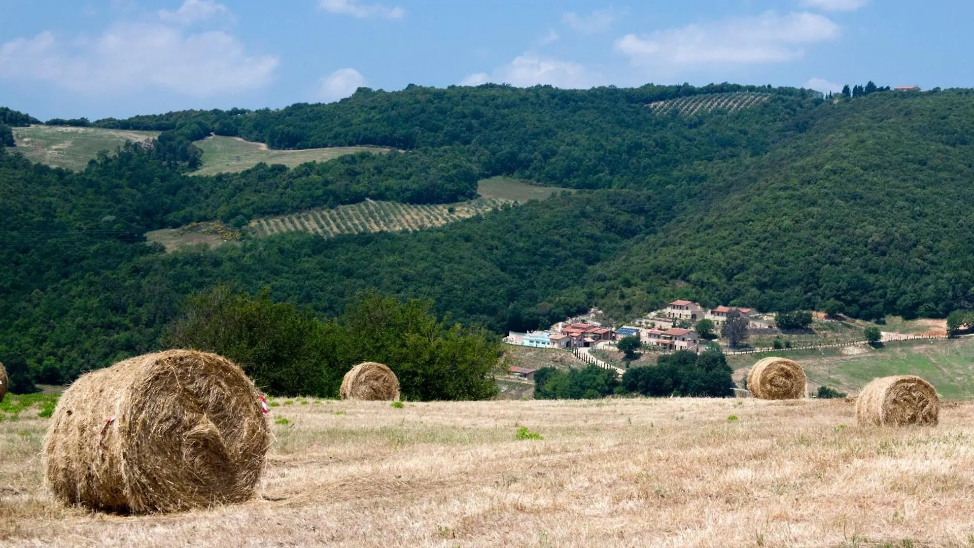 Fonte Alla Lepre Guest House Riparbella 4*,  Italy